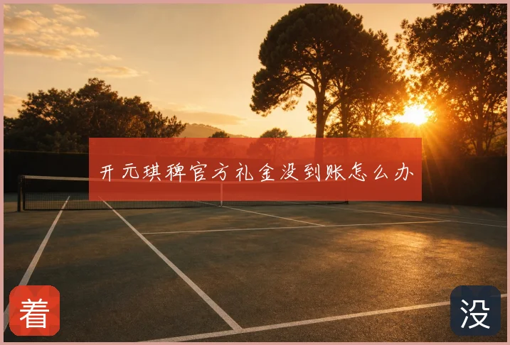 开元琪稗官方礼金没到账怎么办